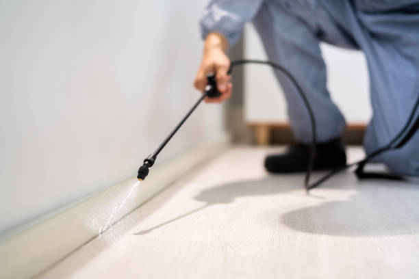 Licensed Mosquito Control service in Hurricane, WV - Show Me Pest Control