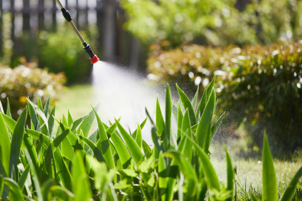24/7 Emergency Mosquito Control experts in Hurricane, WV