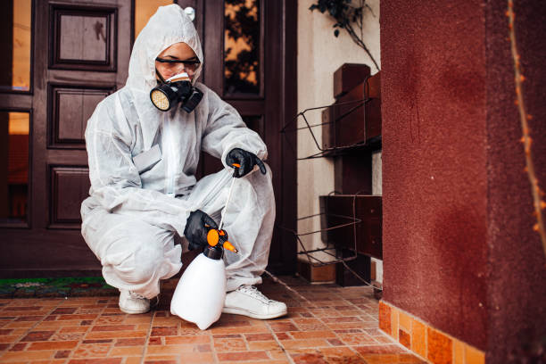 Reliable Mosquito Control contractor in Hurricane, WV by Show Me Pest Control