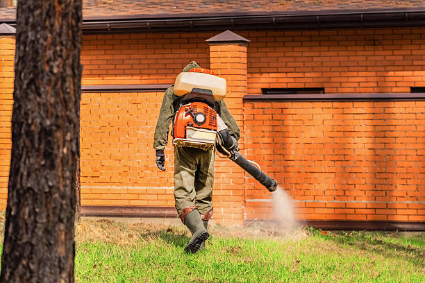 Top rated local Mosquito Control specialists in Hurricane, WV